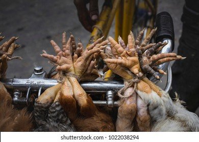 Ontdek de Spannende Wereld van Chicken Road: Het Grootste Nederlandse Gokspel in Netherlands